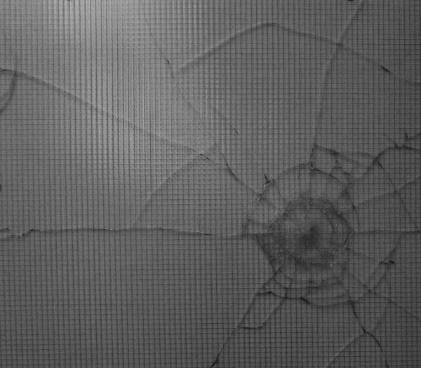 Fleurs, 2011 / Tirs de flash ball sur verre armé / 97 x 110 cm chq.